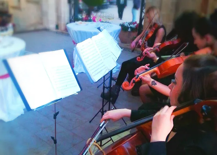 ダイナスティー ティラナ