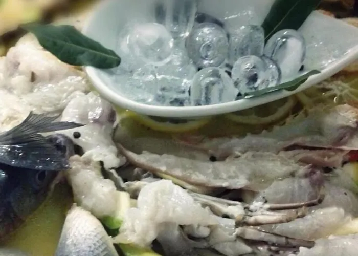 Szálloda Dinasty Tirana