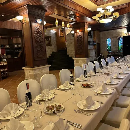 齐气酒店 地拉那