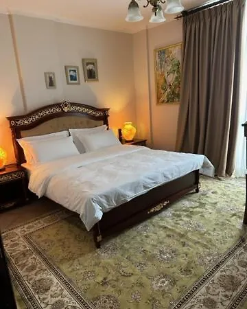 酒店 齐气酒店 地拉那