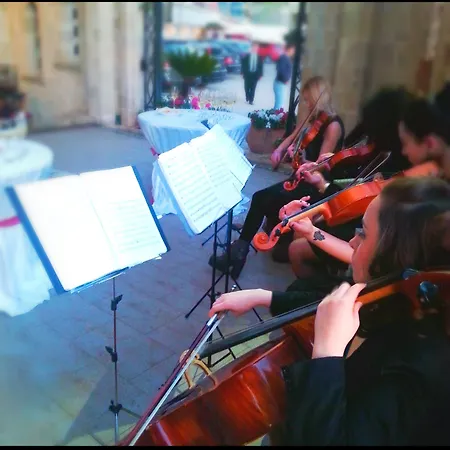 齐气酒店 地拉那