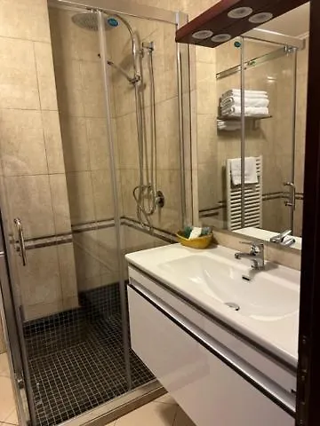 齐气酒店 地拉那