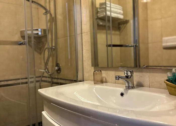 齐气酒店 地拉那