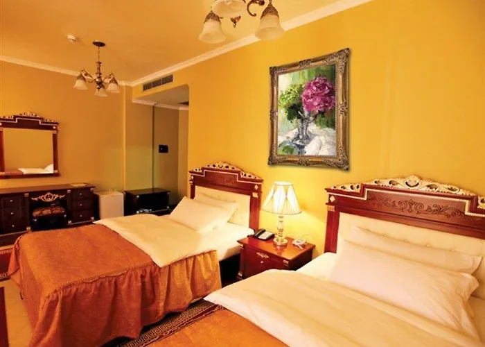 齐气酒店 地拉那